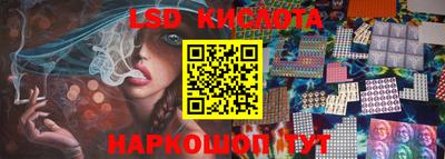 шишки Изобильный