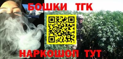 шишки Изобильный