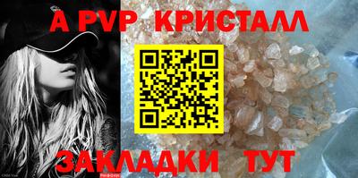 шишки Изобильный
